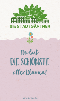 Du bist die schönste aller Blumen